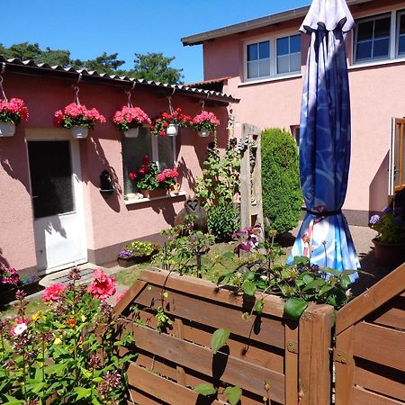 Ferienwohnung Duehne Ostseebad Kühlungsborn 外观 照片